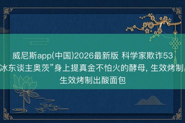 威尼斯app(中国)2026最新版 科学家欺诈5300岁的“冰东谈主奥茨”身上提真金不怕火的酵母, 生效烤制出酸面包
