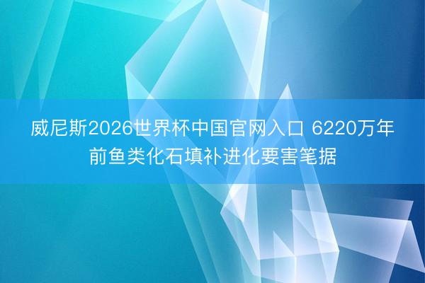 威尼斯2026世界杯中国官网入口 6220万年前鱼类化石填补进化要害笔据