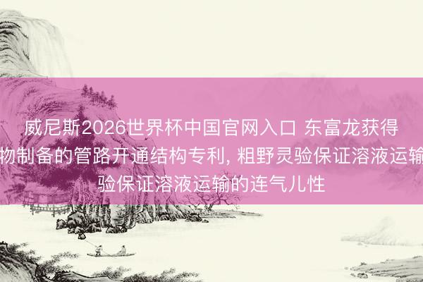 威尼斯2026世界杯中国官网入口 东富龙获得用于纳米药物制备的管路开通结构专利， 粗野灵验保证溶液运输的连气儿性
