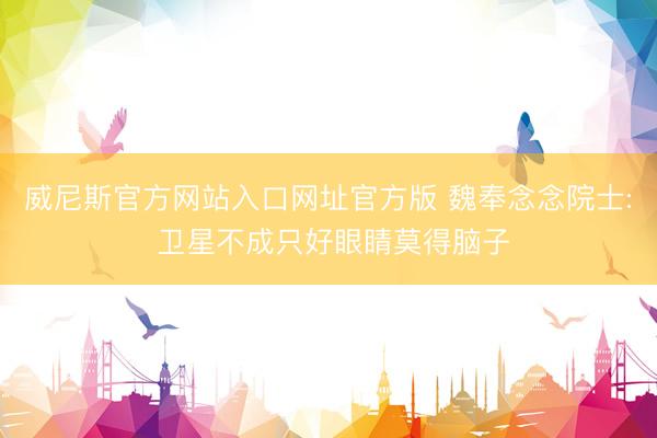 威尼斯官方网站入口网址官方版 魏奉念念院士: 卫星不成只好眼睛莫得脑子