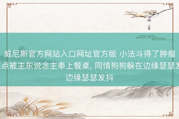 威尼斯官方网站入口网址官方版 小法斗得了肿瘤， 差点被主东说念主奉上餐桌， 同情狗狗躲在边缘瑟瑟发抖