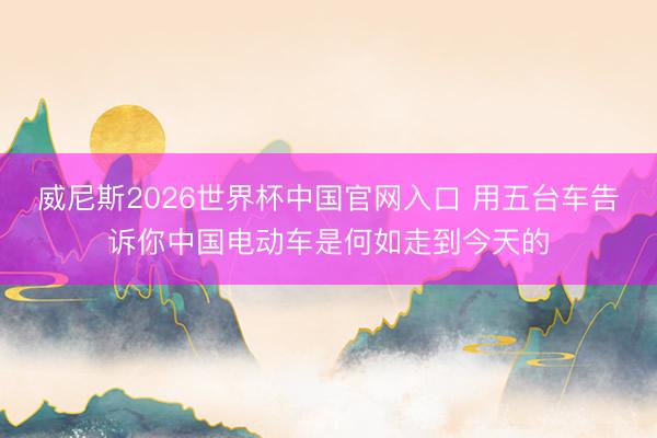威尼斯2026世界杯中国官网入口 用五台车告诉你中国电动车是何如走到今天的